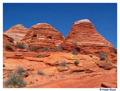 Coyote Buttes Coyote Buttes
