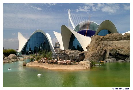Park LOceanogrfic - Aquarium Valencia