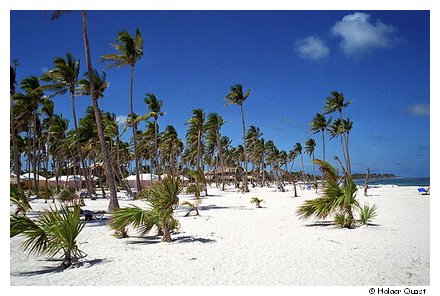 Punta Cana Beach 