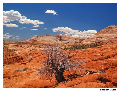 Coyote Buttes Coyote Buttes