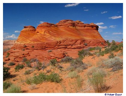 Coyote Buttes Coyote Buttes