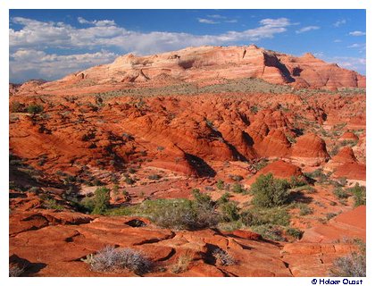 North Coyote Buttes North Coyote Buttes