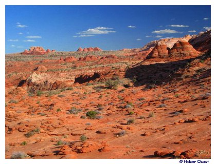 North Coyote Buttes North Coyote Buttes